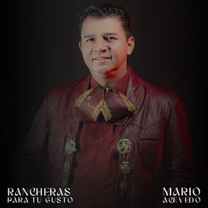 MARIO ACEVEDO - Mi Amigo El Tordillo