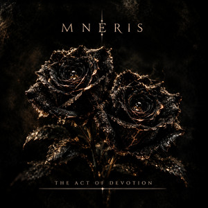 Spiderwebs by Mneris