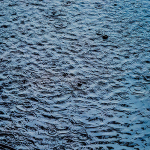 Wandering About the Coral Garden - with Thunder and Rain by Matthew C. Wright