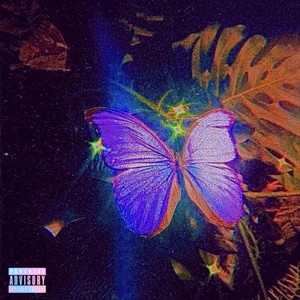 kkillarastation - Butterfly