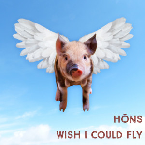 There's Something in the Air (Wish I Could Fly)