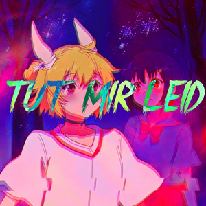 Tut Mir Leid by JONZ, drxnko, majin wav