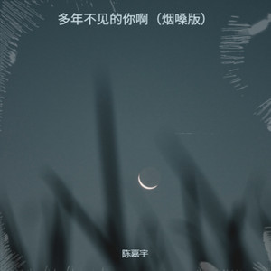 多年不见的你啊（烟嗓版） by 陈嘉宇