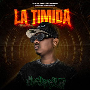 La Timida (feat. Roiman)
