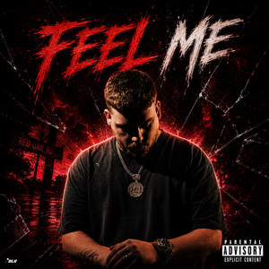 Feel Me by DLU Kemp