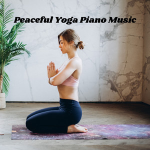 Instrumental Network of Piano Moments