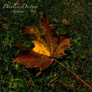 Painless Destiny - Purity