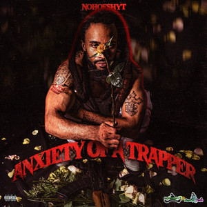 Import Export by Nohoeshyt, Shellz