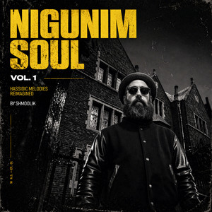 album cover: Nigunim Soul, Vol. 1