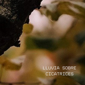 Lluvia sobre cicatrices by CHARPI MC