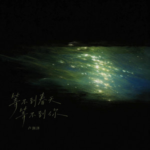 等不到春天等不到你（DJ弹鼓版）0.8x降调版｜降速R&B｜降速沉溺版｜慢放版｜春天还没来那个人也没有回来 by 张欣易