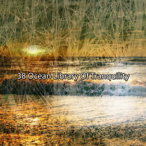 38 Ocean Library Of Tranquility album