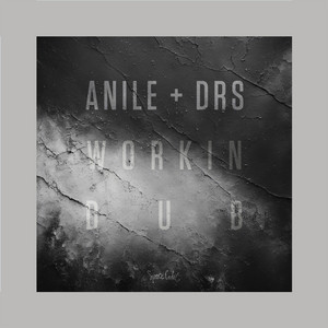 Workin Dub by Anile, DRS