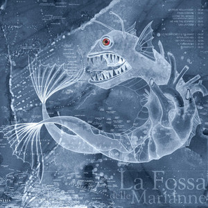 album cover: La Fossa delle Marianne