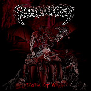 Storm Of Wrath