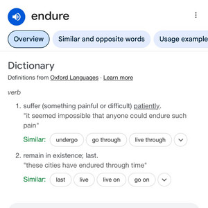 Endure by Threeway Bj