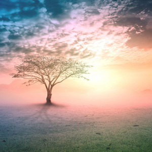 Calm Ambient Soundscape With Soft Instrumental Tones For Inner Peace And Restful Sleep
