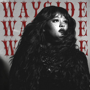 WAYSIDE by Anna Colette