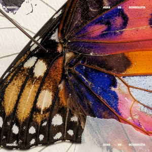 Asas de Borboleta by Maduli