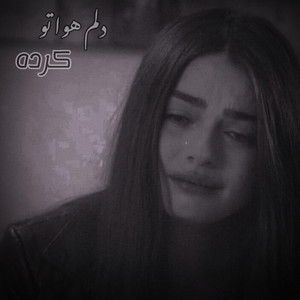 آهنگ غمگین ایرانی ؛ دلم هوا تو کرده by MY Song Ai