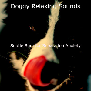 Subtle Bgm for Separation Anxiety album