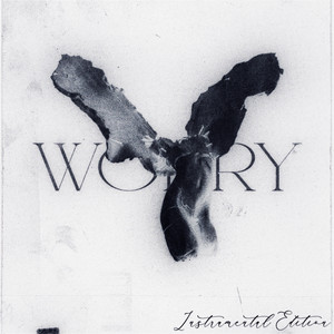 LONOWN & riserayss - worry (Instrumental Ultra Slowed)
