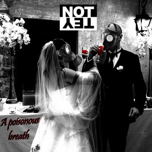 NOTYET! artist photo