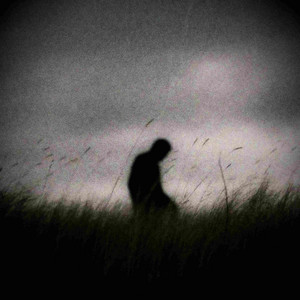 In The Wind by conjr