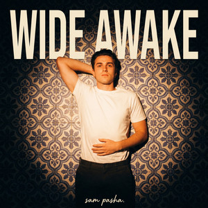 Wide Awake by Sam Pasha