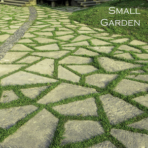 Small Garden by Taimon