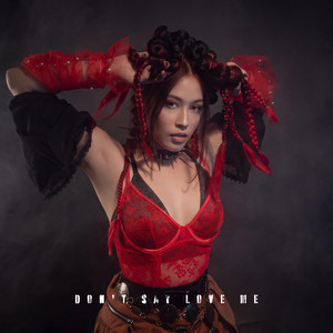 Don't Say You Love Me by Rina wangsu