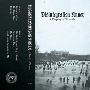 album cover: A Display of Wounds