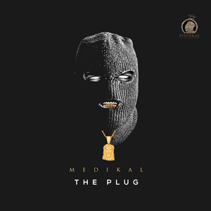The Plug cover