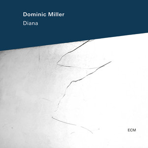 Jazz Hotel by Dominic Miller
