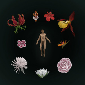 Il Ciclo Della Medusa by Yyuna