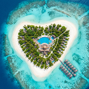 Paradise by Coco Isle