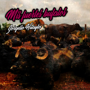 Mis Fuertes Bufalos by Jorgelio Huayta