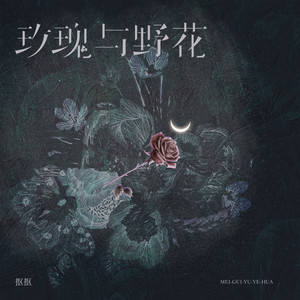 玫瑰与野花 - 弹唱版 by 抠抠