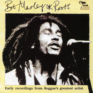 I'm Going Home - song and lyrics by Bob Marley & The Wailers | Spotify