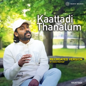 Vidhu Prathap - Kaattadi Thanalum (Recreated Version)