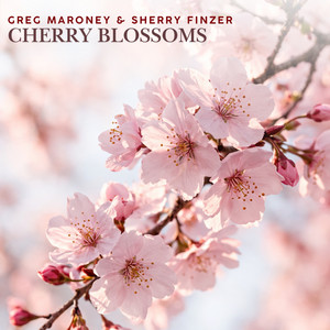 Lanterns in the Courtyard by Greg Maroney, Sherry Finzer