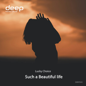 Обкладинка: Such a Beautiful Life