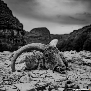 no al muro by Colt Wayne Keeney