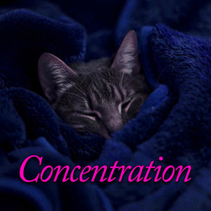 Concentration