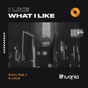 I Like What I Like by Dwin, Rob J, Lotus