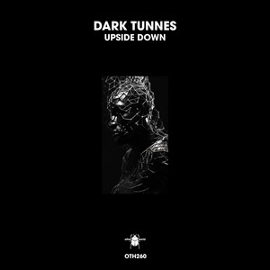 Upside Down by Dark Tunnes