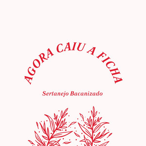 Agora Caiu a Ficha