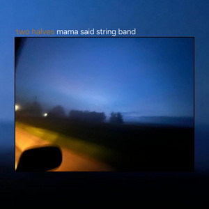 Numb Goodbyes by Mama Said String Band