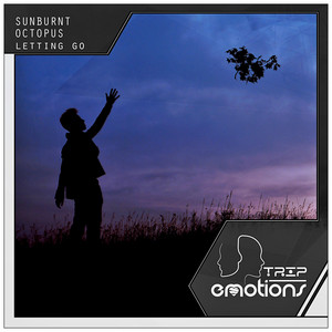 Letting Go - Radio Edit