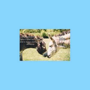 Heart Donkey